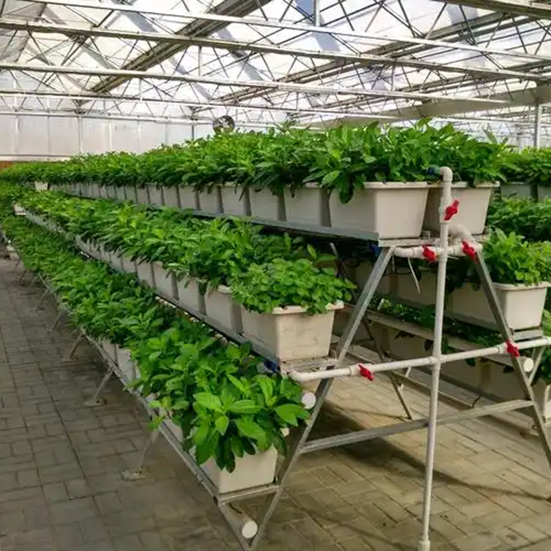 钦州市植物工厂水培设备 - 方案